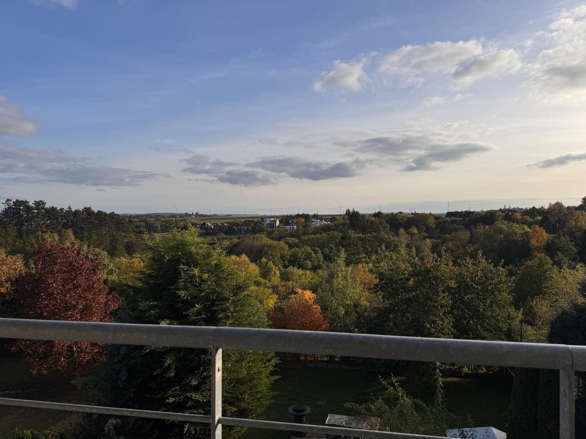 Diamondvilla, 4 Bedroom Apartment, Garden & Spa Прага Екстериор снимка