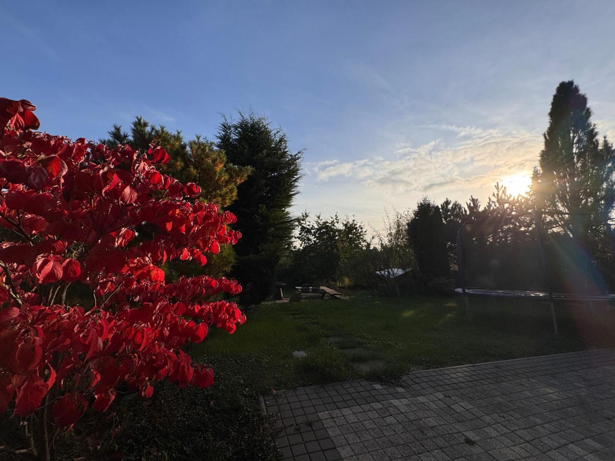 Diamondvilla, 4 Bedroom Apartment, Garden & Spa Прага Екстериор снимка