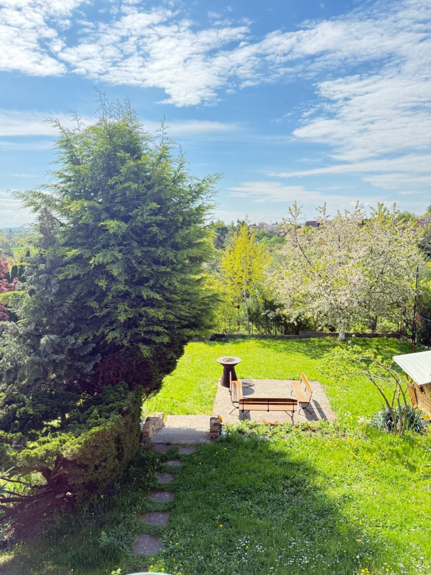 Diamondvilla, 4 Bedroom Apartment, Garden & Spa Прага Екстериор снимка